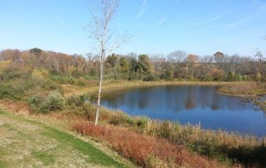 Wetland Enhancement and Pond Creation