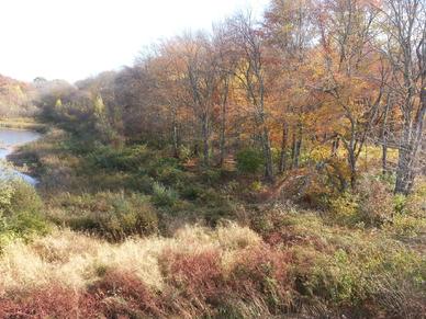 Wetland Enhancement and Pond Creation