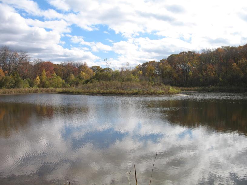 Wetland Enhancement and Pond Creation